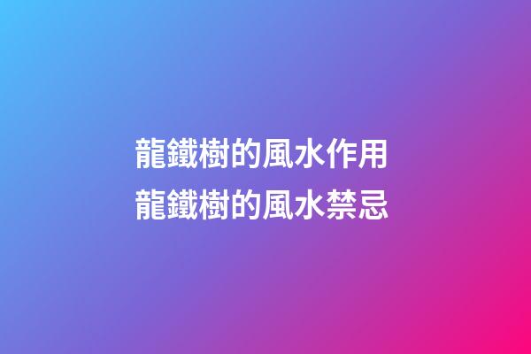 龍鐵樹的風水作用 龍鐵樹的風水禁忌